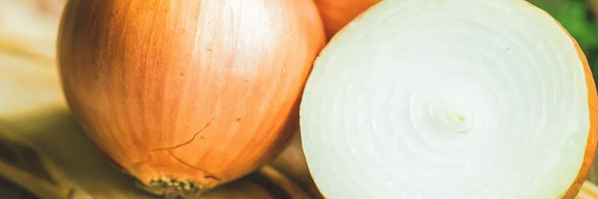 Jacob Acrobat x Beurd